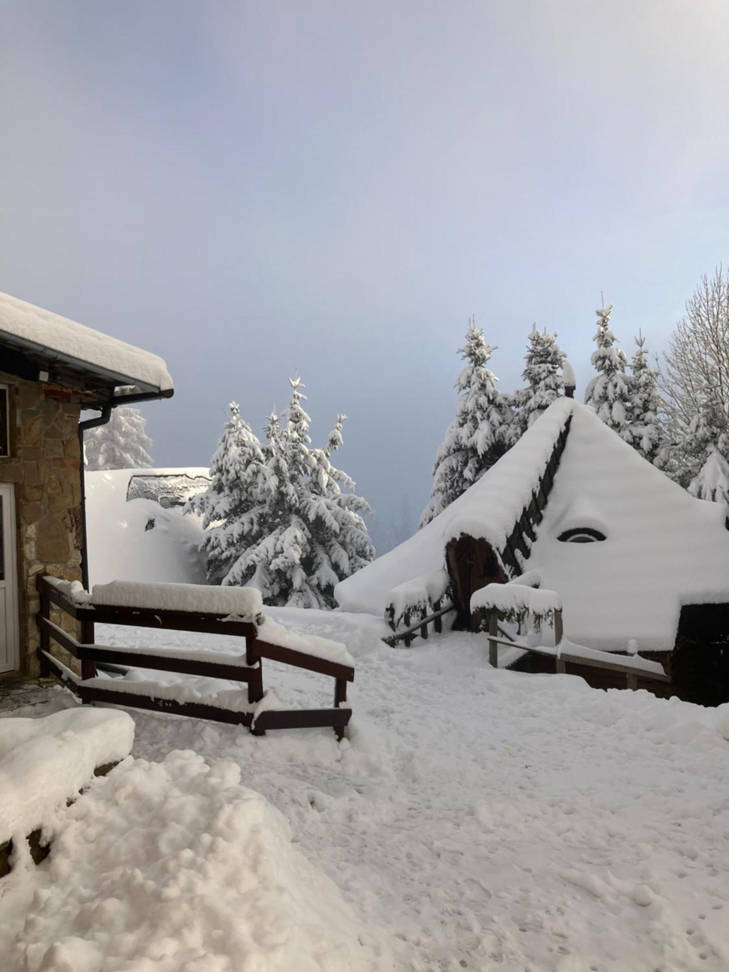 Mala Bawaria Hotel Zakopane Kültér fotó