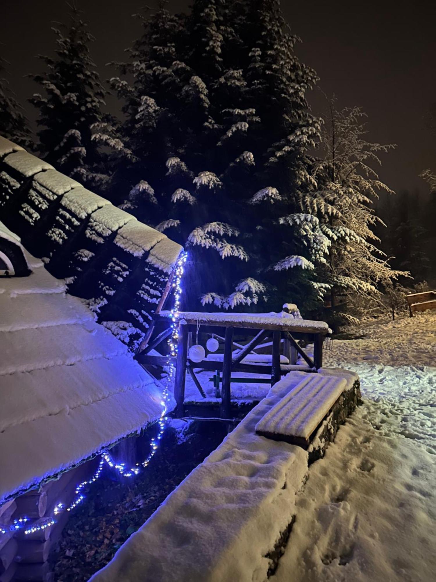 Mala Bawaria Hotel Zakopane Kültér fotó