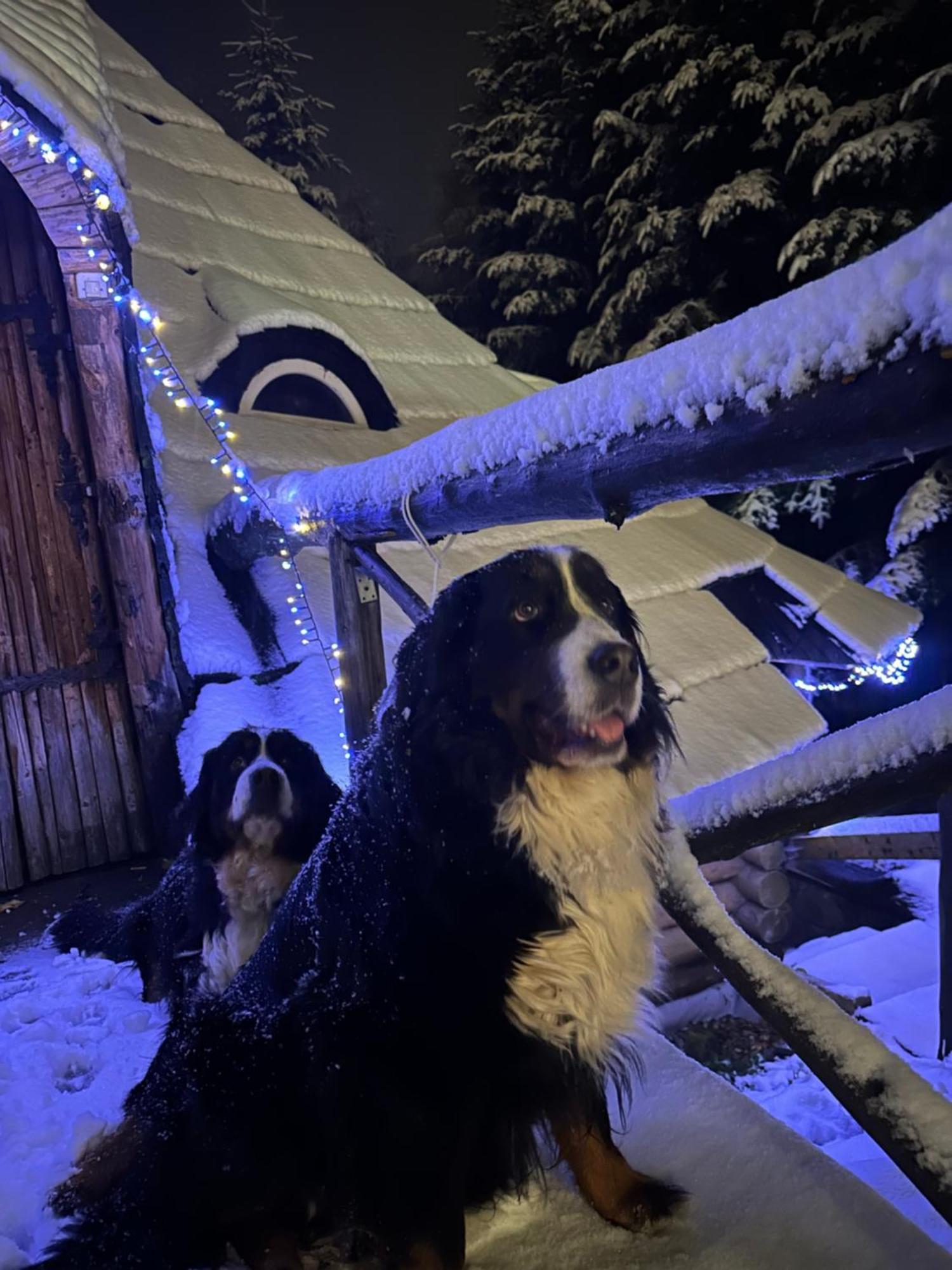 Mala Bawaria Hotel Zakopane Kültér fotó