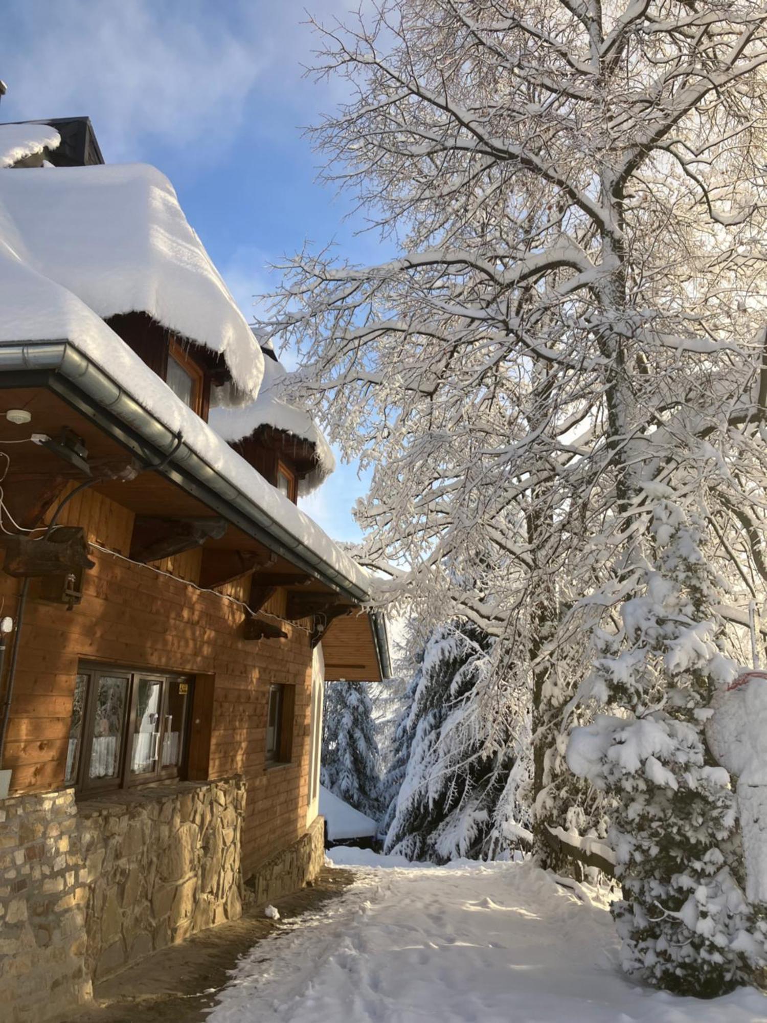 Mala Bawaria Hotel Zakopane Kültér fotó