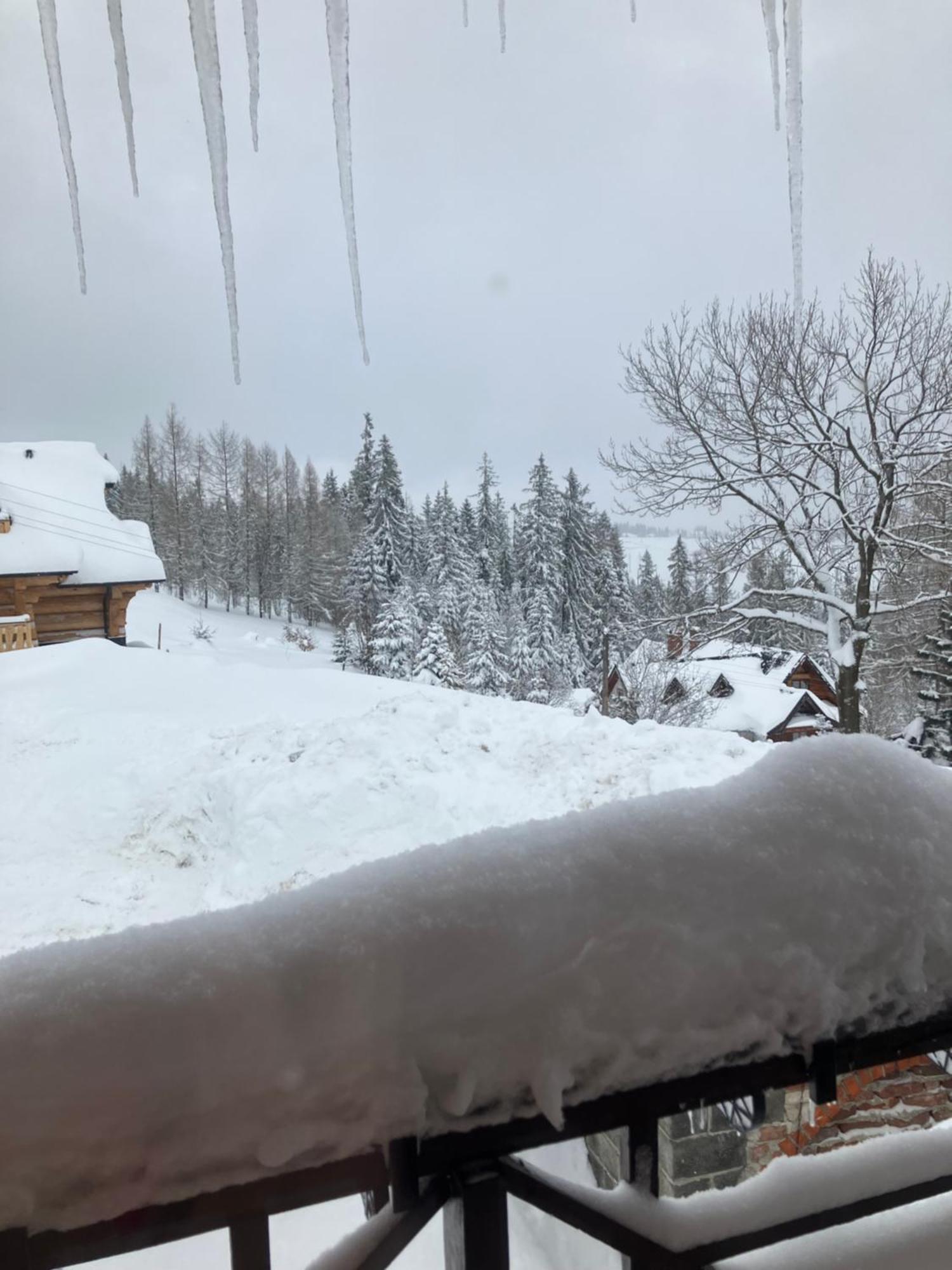 Mala Bawaria Hotel Zakopane Kültér fotó